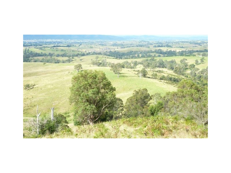 99999 Barretts Road, Bemboka NSW 2550