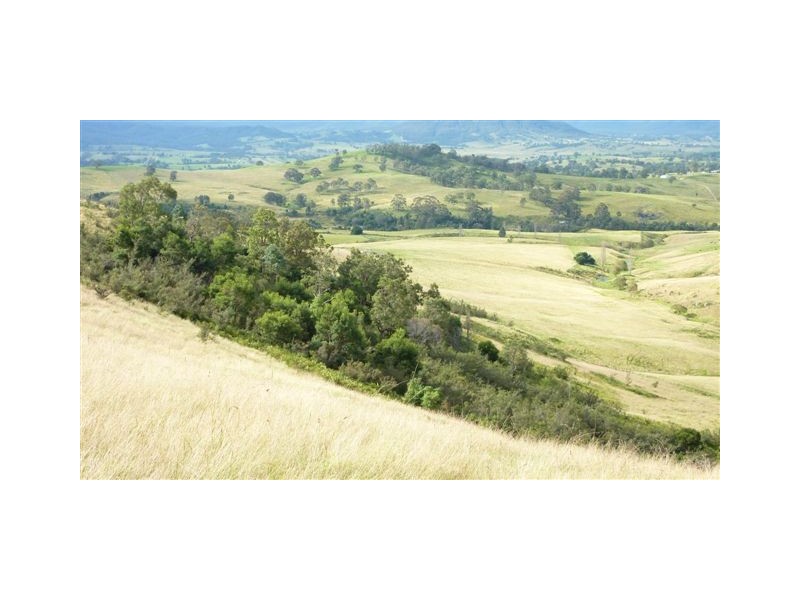 99999 Barretts Road, Bemboka NSW 2550