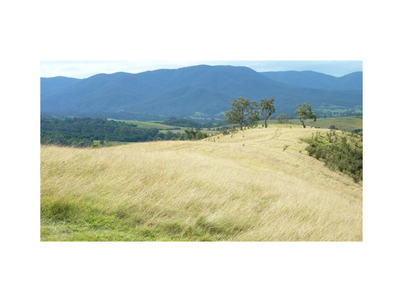 99999 Barretts Road, Bemboka NSW 2550