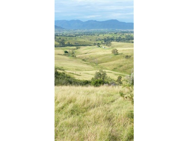 99999 Barretts Road, Bemboka NSW 2550