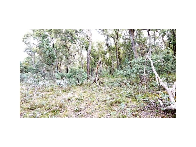 Lot 2 & 3,  Shannons Flat Road, Shannons Flat NSW 2630