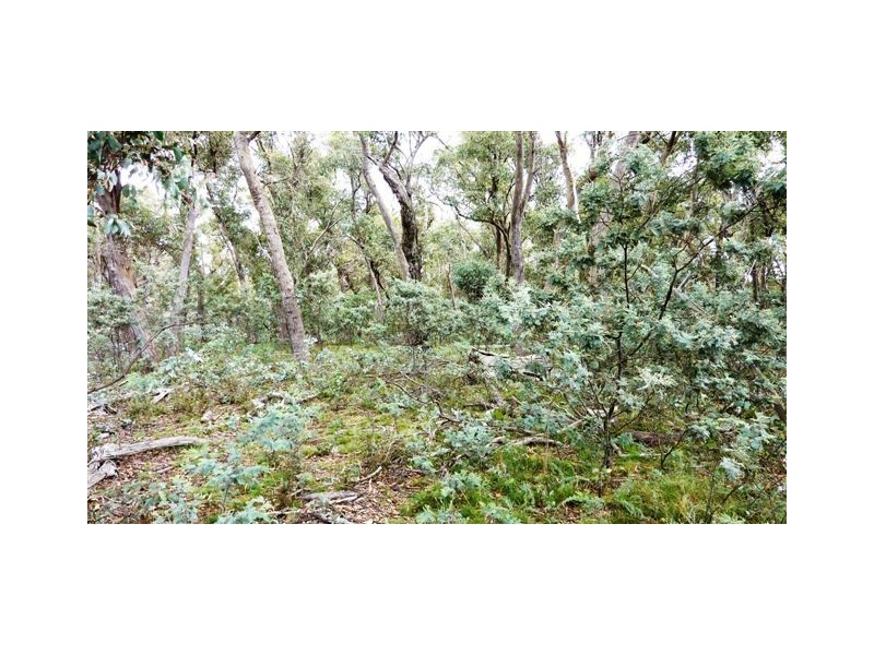 Lot 2 & 3,  Shannons Flat Road, Shannons Flat NSW 2630