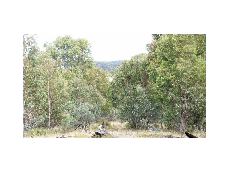 Lot 2 & 3,  Shannons Flat Road, Shannons Flat NSW 2630