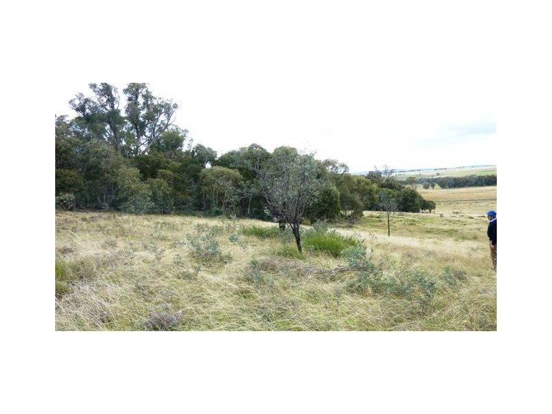Lot 2 & 3,  Shannons Flat Road, Shannons Flat NSW 2630