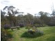 1411 Middlingbank Road, Berridale NSW 2628