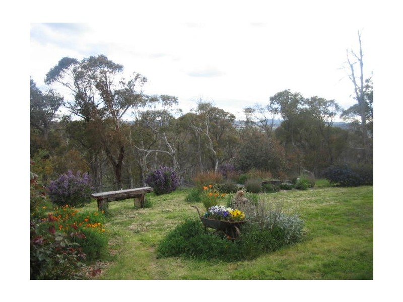 1411 Middlingbank Road, Berridale NSW 2628