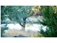 1411 Middlingbank Road, Berridale NSW 2628