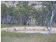 1411 Middlingbank Road, Berridale NSW 2628