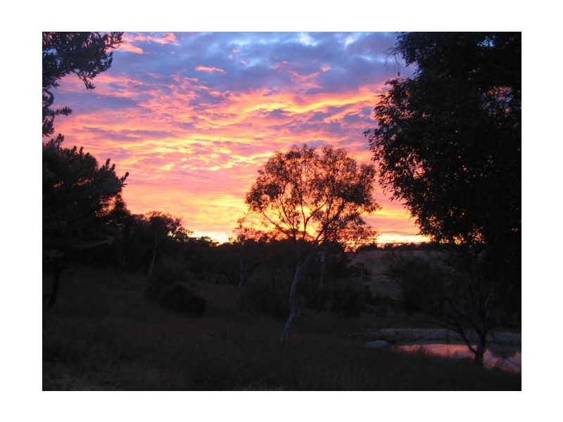 1411 Middlingbank Road, Berridale NSW 2628