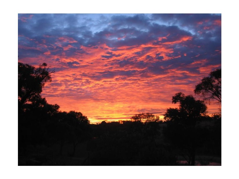 1411 Middlingbank Road, Berridale NSW 2628