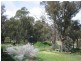 1411 Middlingbank Road, Berridale NSW 2628