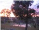 1411 Middlingbank Road, Berridale NSW 2628