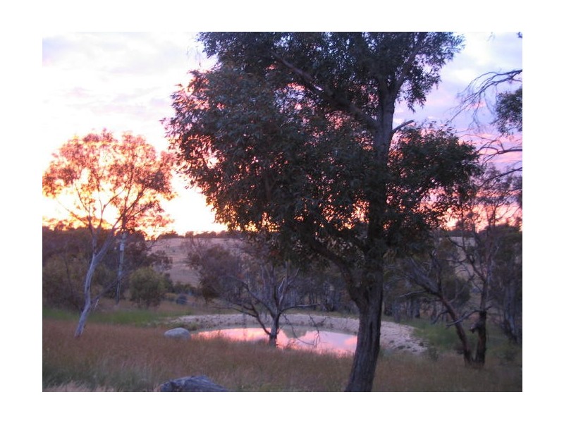 1411 Middlingbank Road, Berridale NSW 2628