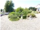 64 Dalgety Road, Berridale NSW 2628