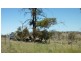125 Bobundara, Berridale NSW 2628