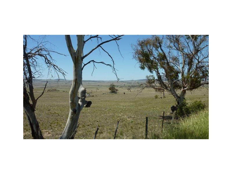 125 Bobundara, Berridale NSW 2628
