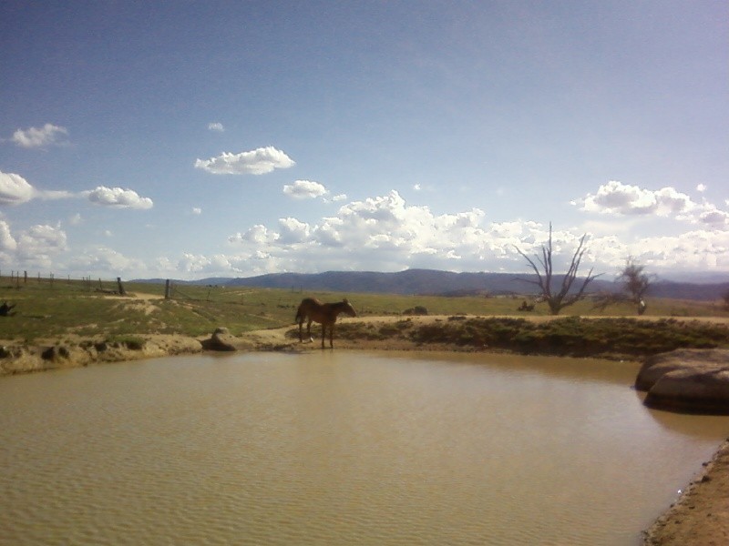 ‘McMahons’ Bulgandra Road, Dalgety NSW 2628