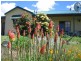 1411 Middlingbank Road, Berridale NSW 2628