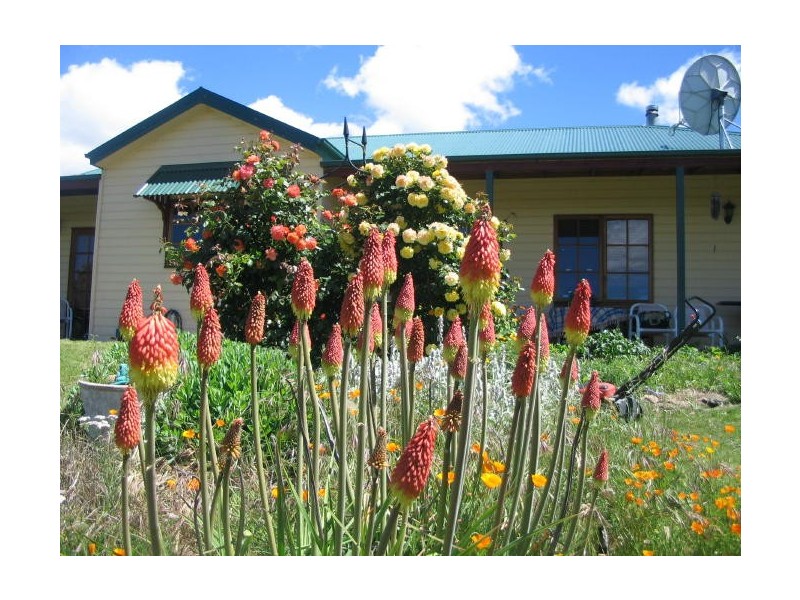 1411 Middlingbank Road, Berridale NSW 2628
