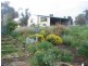 1411 Middlingbank Road, Berridale NSW 2628