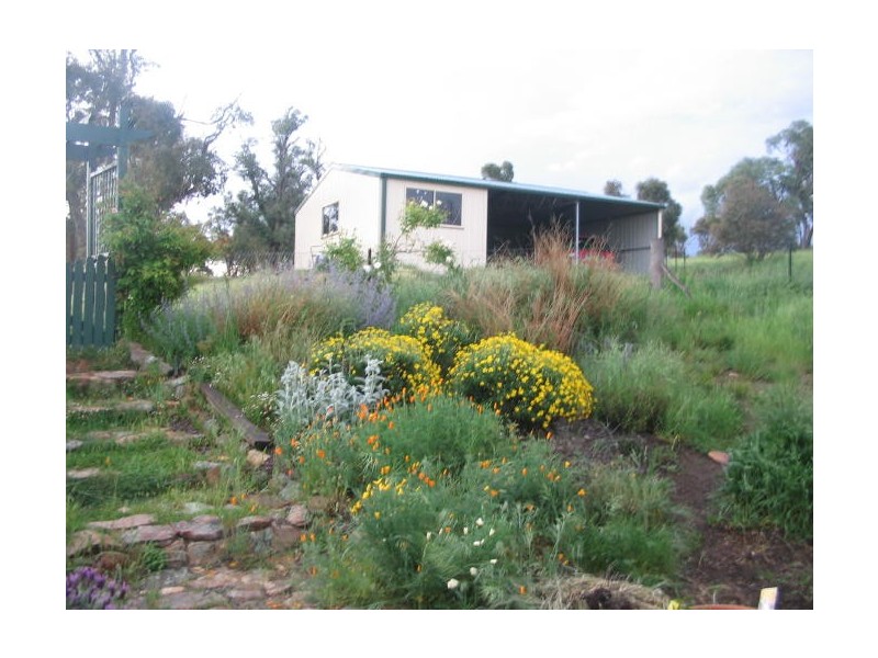 1411 Middlingbank Road, Berridale NSW 2628