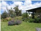 1411 Middlingbank Road, Berridale NSW 2628