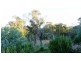 1411 Middlingbank Road, Berridale NSW 2628