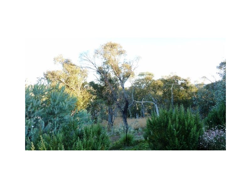1411 Middlingbank Road, Berridale NSW 2628