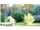 1411 Middlingbank Road, Berridale NSW 2628