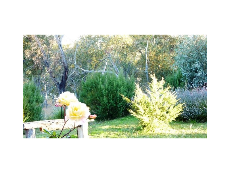 1411 Middlingbank Road, Berridale NSW 2628