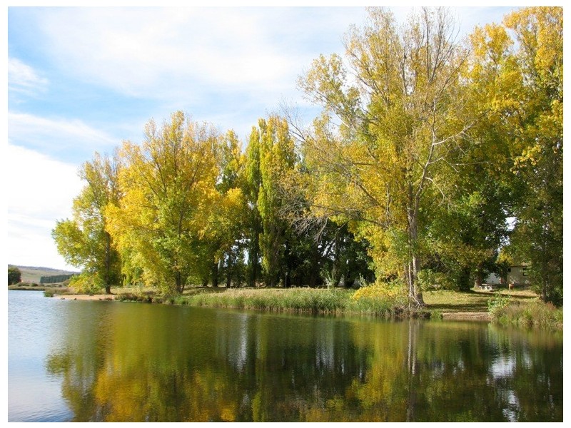 10 Campbell Street, Dalgety NSW 2628