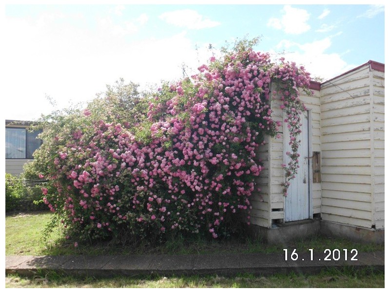15 Baker Street, Adaminaby NSW 2629