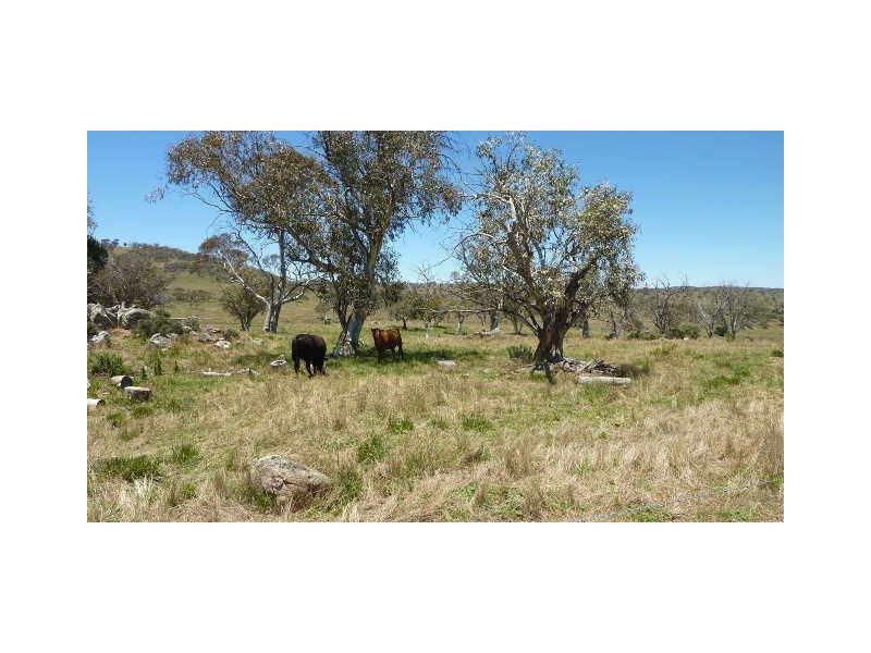 36 Eucumbene Road, Hill Top NSW 2627