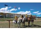 1 Hill Top Road, Jindabyne NSW 2627