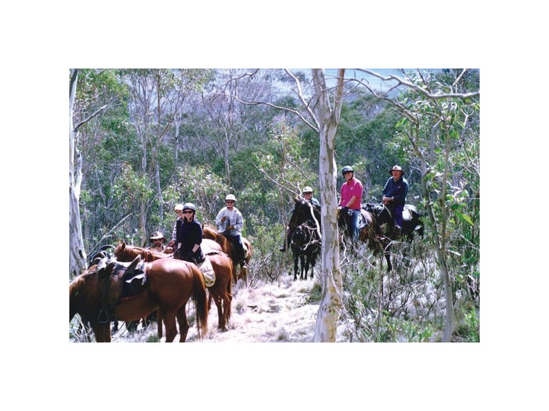 1 Hill Top Road, Jindabyne NSW 2627