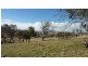 30 Windradeen Road, Adaminaby NSW 2629