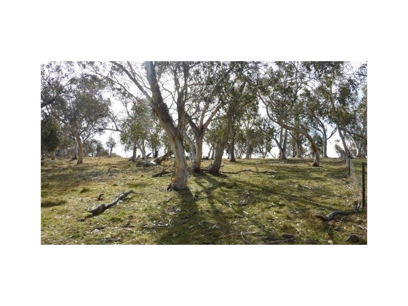 30 Windradeen Road, Adaminaby NSW 2629