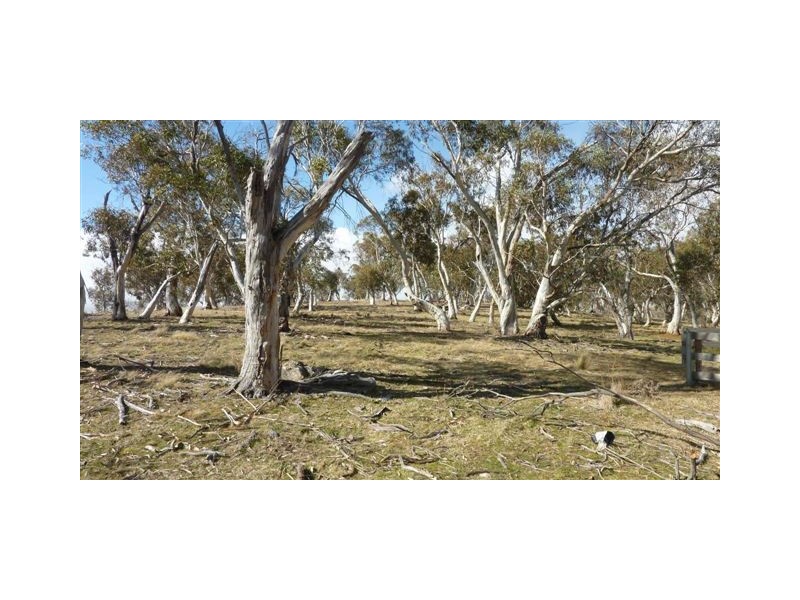 30 Windradeen Road, Adaminaby NSW 2629