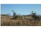 Lot 2, 2 Bobundara Road, Berridale NSW 2628