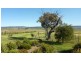 112 Wolfram Road, Berridale NSW 2628