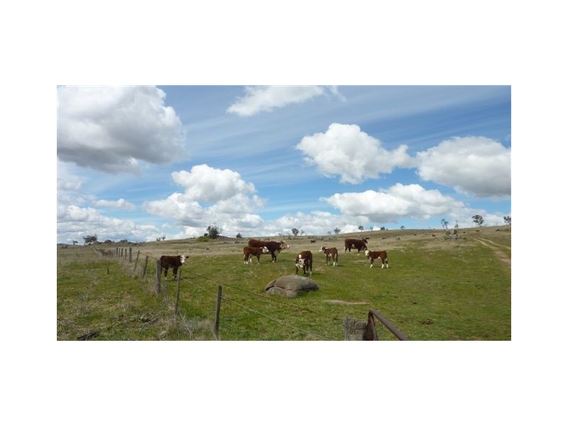 112 Wolfram Road, Berridale NSW 2628