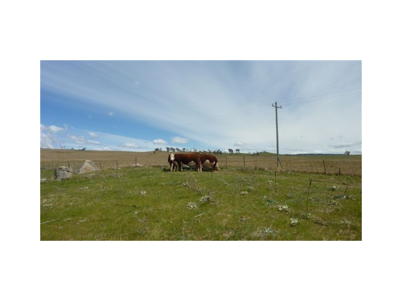 112 Wolfram Road, Berridale NSW 2628