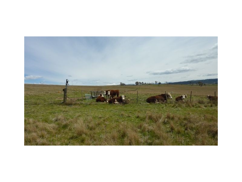 112 Wolfram Road, Berridale NSW 2628