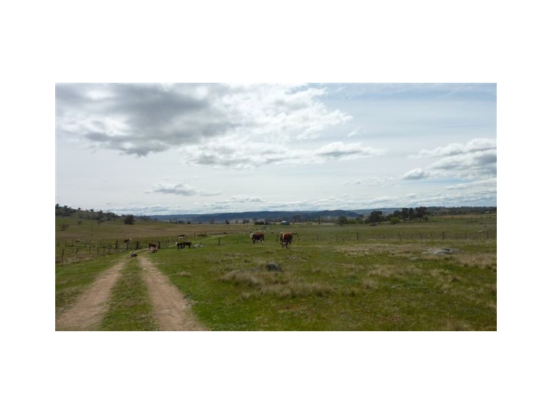112 Wolfram Road, Berridale NSW 2628