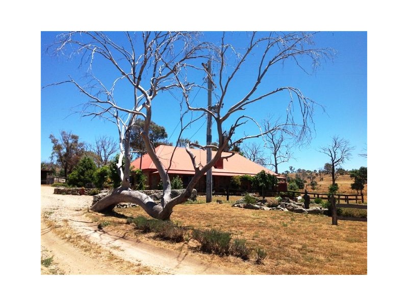 654 Dalgety Road, Berridale NSW 2628
