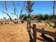 654 Dalgety Road, Berridale NSW 2628