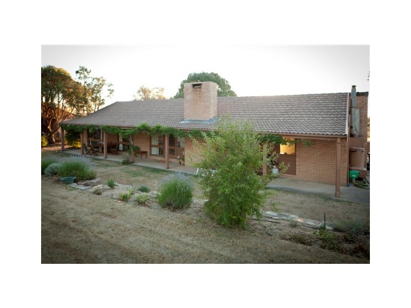 1319 Middlingbank Road, Berridale NSW 2628