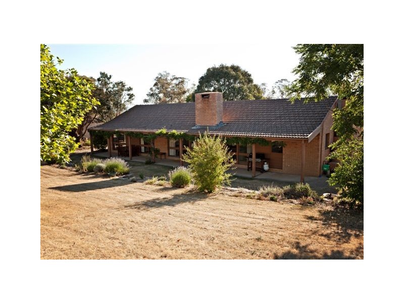 1319 Middlingbank Road, Berridale NSW 2628