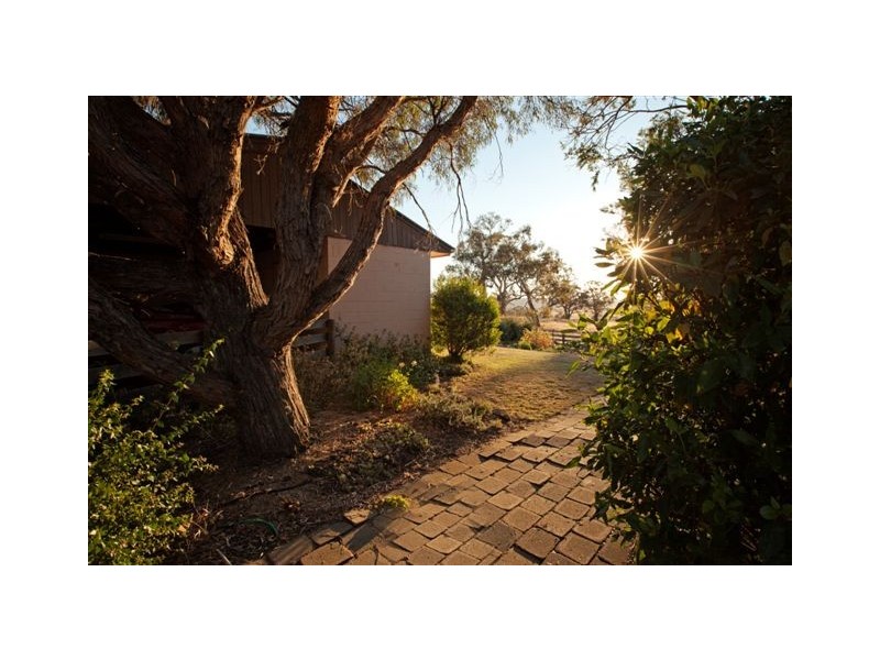 1319 Middlingbank Road, Berridale NSW 2628