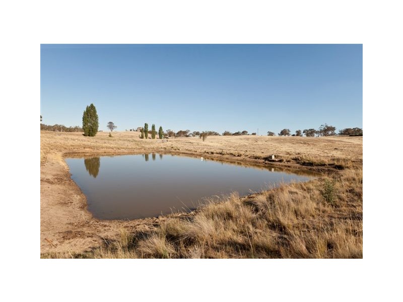 1319 Middlingbank Road, Berridale NSW 2628